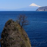 雲見海岸の岩と富士山の写真 「さりげなく」