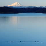 狭山湖から望む富士山の写真 「早朝のワルツ」