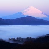 箱根大観山より望む雲海と紅富士の写真 「春は曙」