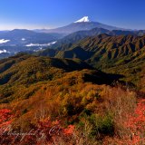 雁ヶ腹摺山の紅葉の写真 「彩山の眺望」