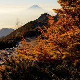 鳳凰三山の紅葉の写真 「稜線の小さな秋」