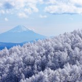 高ボッチの樹氷と富士山の写真 「樹氷の森」