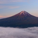 雲海と赤富士の写真 「初夏の薄紅」