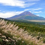 三国峠パノラマ台から望むススキと富士山の写真 「秋色、秋風。」