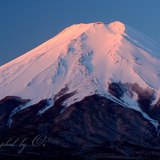 富士吉田市・農村公園から望む冬の富士山の写真 「暁に春を見る」