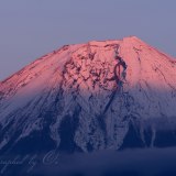 田貫湖の紅富士の写真 「紅ライン」