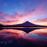 田貫湖より望む朝焼けと逆さ富士の写真 「水辺のオーケストラ」