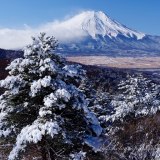 二十曲峠の雪景と富士山の写真 「白く降りて」