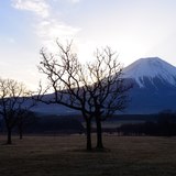 ふもとっぱらからの富士山の写真 「夜明ける草原」