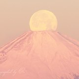 三浦半島からの紅パール富士の写真 「紅のホールインワン！」