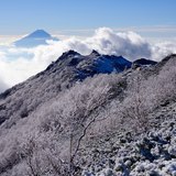 観音岳の樹氷と雲海と富士山の写真 「雪稜に現る」