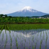 農村公園の水田逆さ富士の写真 「農村の情景」