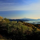 日本平から望む新緑の写真 「芽吹きの丘」