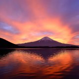 田貫湖の朝焼けの写真 「炎上」