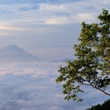 櫛形山の雲海と新緑の写真 「雲上の緑」