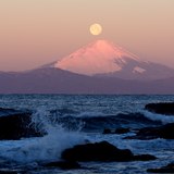 三浦半島・黒崎の鼻より望むパール富士の写真 「着地地点へ」
