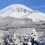水ヶ塚公園から望む樹氷の富士山の写真 「全ては白く」