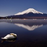 山中湖の眠る白鳥と夜の富士山の写真 「眠り姫」