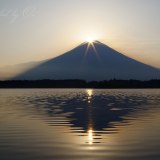 田貫湖のダブルダイヤモンド富士の写真 「ゴールドラッシュ」