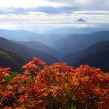北岳のナナカマドと富士山の写真 「初秋の彩り」