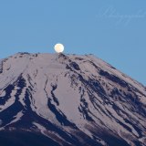 富士ヶ嶺高原のパール富士の写真 「臙脂に真珠」