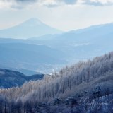 高ボッチの霧氷と富士山の写真 「冷淡美」