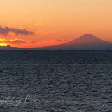 海ほたるからの夕焼けの写真 「暮れる東京湾のど真ん中」