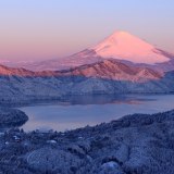 大観山の雪景色と紅富士の写真 「染まりゆく白の町」