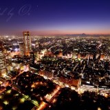 東京都庁からの夜景の写真 「With The City」