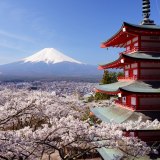 新倉山浅間公園の忠霊塔と桜と富士山の写真 「The Japanese Landscape」