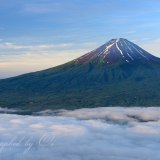 黒岳の雲海と富士山の写真 「朝日を浴びて」