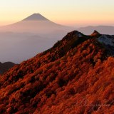 鳳凰三山の紅葉と富士山の写真 「秋景鮮やか」