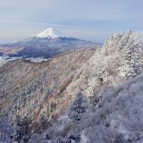 三つ峠の樹氷と富士山の写真 「粉雪を纏う」