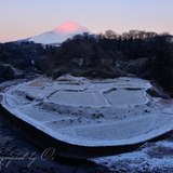 小山町・竹之下棚田の雪景色と富士山の写真 「薄化粧の棚田」