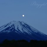 富士ヶ嶺高原のパール富士の写真 「富士に浮かぶ」