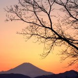 弘法山公園の写真 「黄昏のキャンバス」