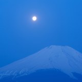 山中湖のパール富士の写真 「舞い降りる」