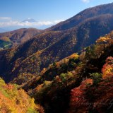 丸山林道の紅葉と富士山の写真 「彩りの山脈」