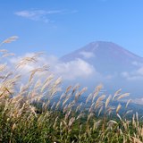 三国峠からススキと富士山の写真 「秋風そよぐ」