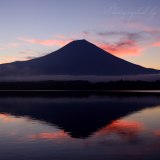田貫湖の朝焼けの写真 「夏空咲いて」