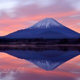 精進湖より望む朝焼けの富士山と逆さ富士の写真 「glow reflection」