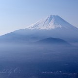 精進峠の雲海の写真 「堂々涼しげ」