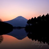 田貫湖の朝焼けの写真 「柔らかに燃えて」