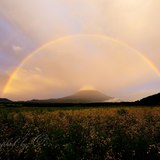 朝霧高原より望む富士山と虹のアーチの写真 「祝福のアーチ」