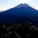 竜ヶ岳からのダイヤモンド富士の写真 「きらめく笹山」