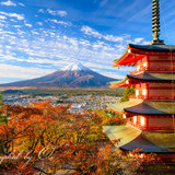 秋の新倉山浅間公園と富士山の写真 「秋華絢爛」