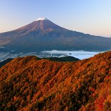 三ッ峠山の紅葉と富士山の写真 「彩りの稜線を染めて」