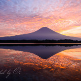 田貫湖より富士山と鱗雲の朝焼けの写真 「秋の宴」