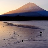精進湖の氷と富士山の写真 「氷上の朝」