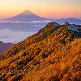 南アルプス・観音岳(鳳凰三山)の紅葉と富士山の写真 「高山の秋」